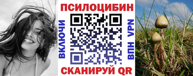 даркнет сайт  Рошаль  blacksprut как войти  Галлюциногенные грибы мицелий 