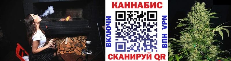 Конопля гибрид  Рошаль 